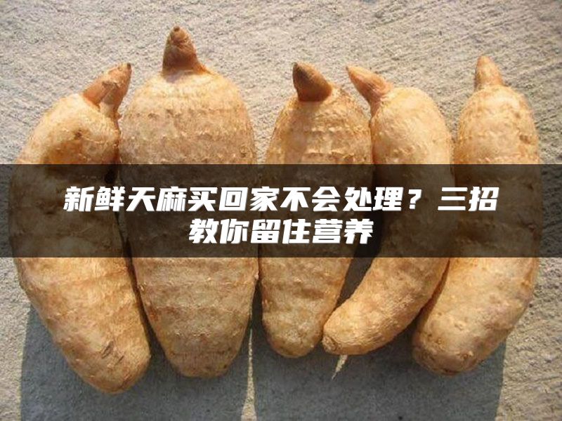 新鲜天麻买回家不会处理？三招教你留住营养