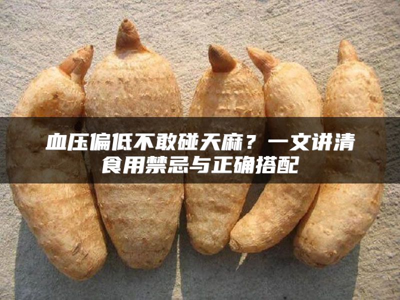 血压偏低不敢碰天麻？一文讲清食用禁忌与正确搭配
