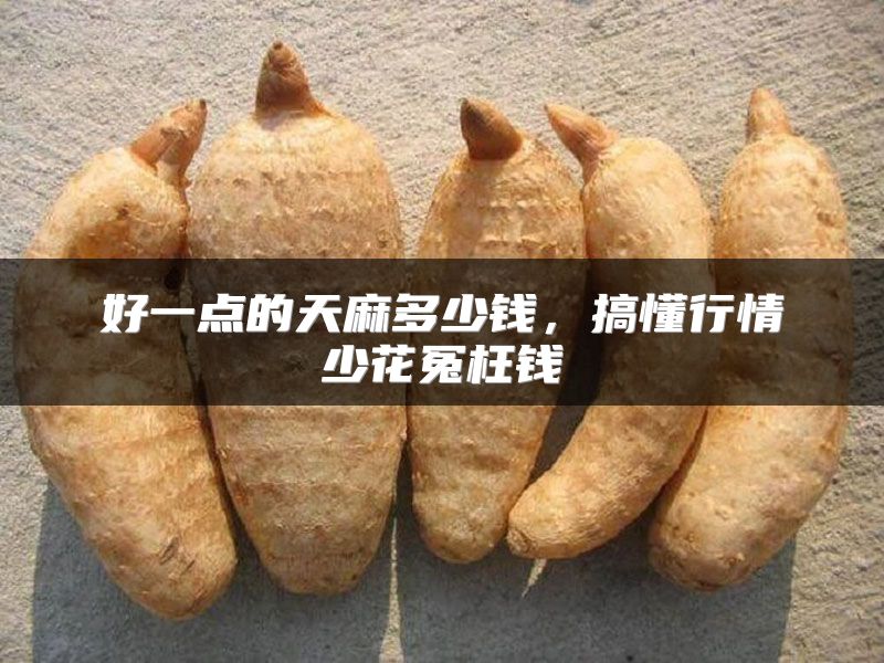 好一点的天麻多少钱，搞懂行情少花冤枉钱