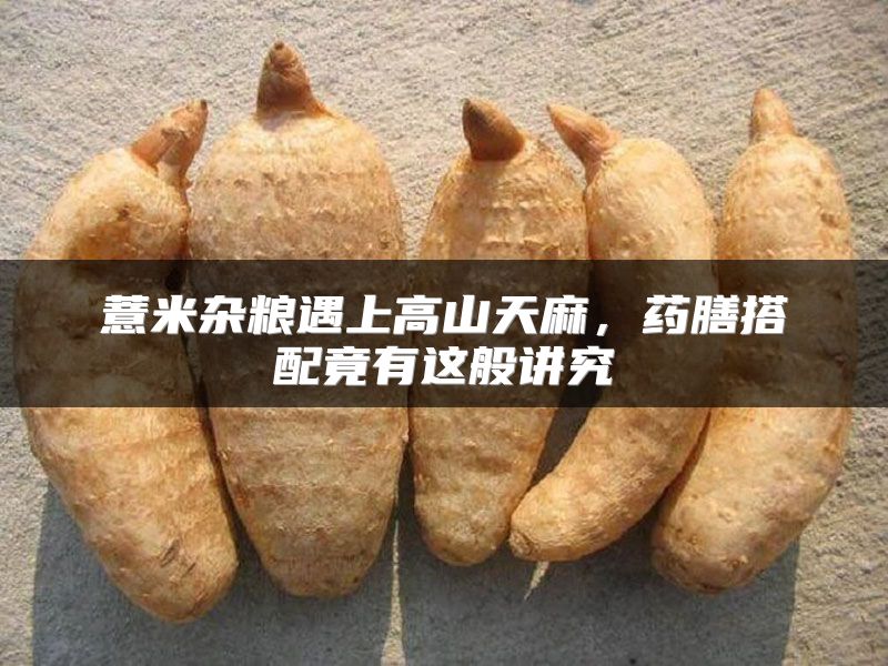 薏米杂粮遇上高山天麻，药膳搭配竟有这般讲究