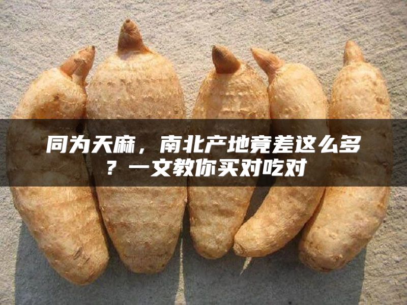 同为天麻，南北产地竟差这么多？一文教你买对吃对