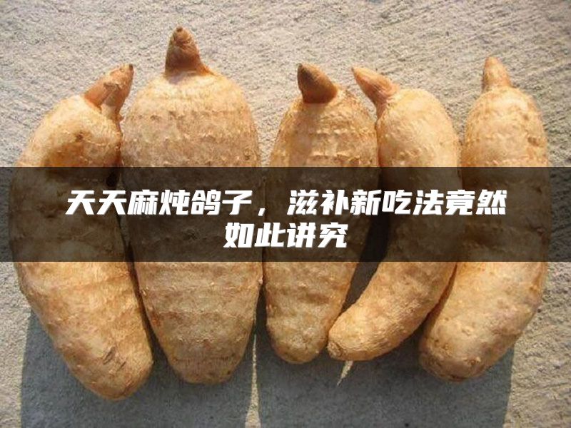 天天麻炖鸽子，滋补新吃法竟然如此讲究