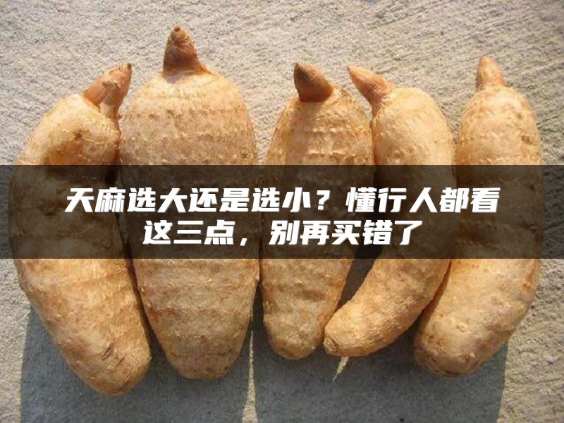天麻选大还是选小？懂行人都看这三点，别再买错了
