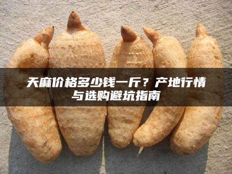天麻价格多少钱一斤？产地行情与选购避坑指南