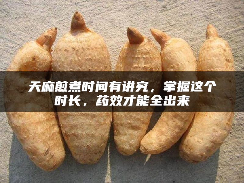 天麻煎煮时间有讲究，掌握这个时长，药效才能全出来