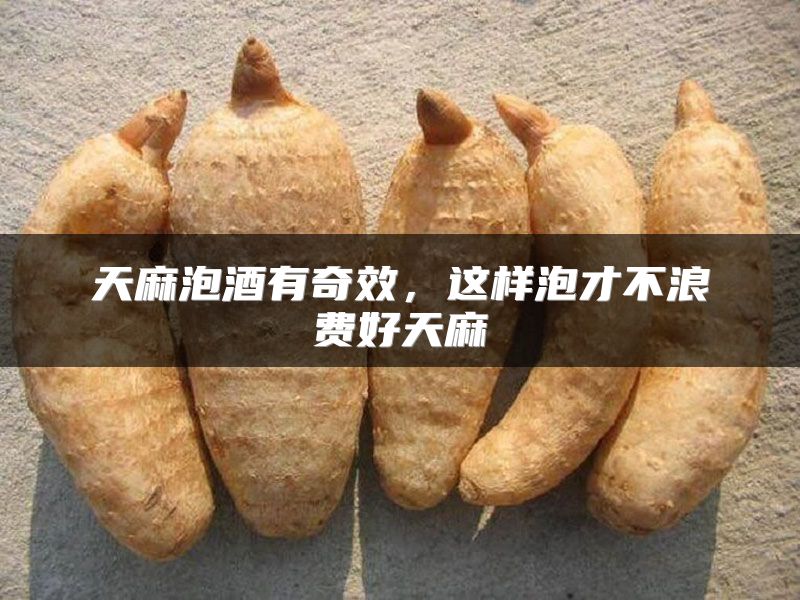天麻泡酒有奇效，这样泡才不浪费好天麻