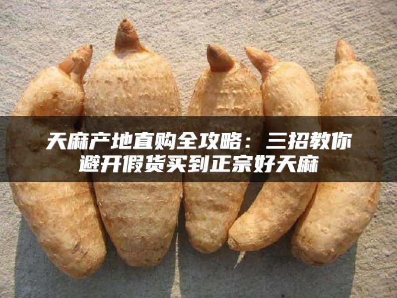 天麻产地直购全攻略：三招教你避开假货买到正宗好天麻
