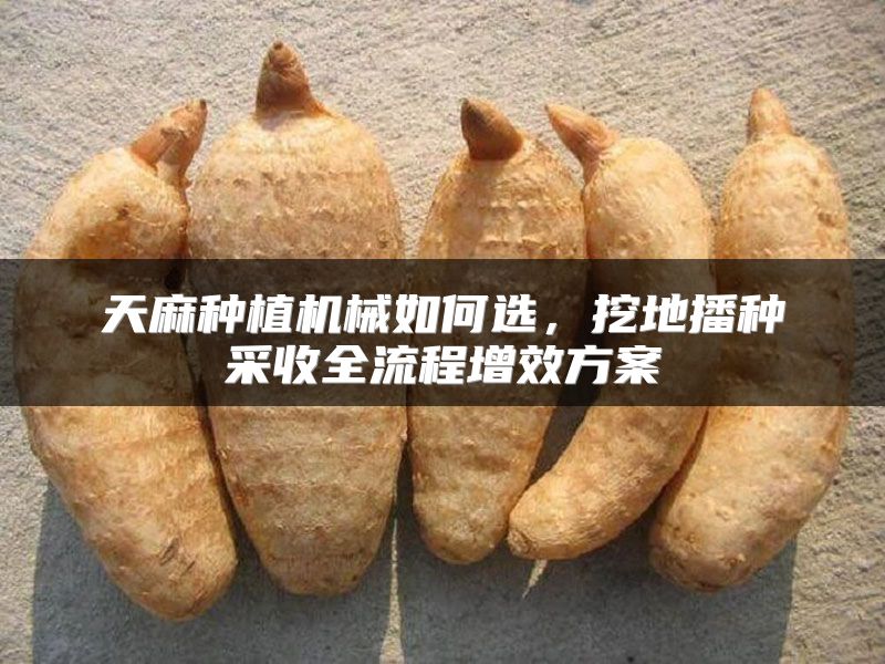 天麻种植机械如何选，挖地播种采收全流程增效方案