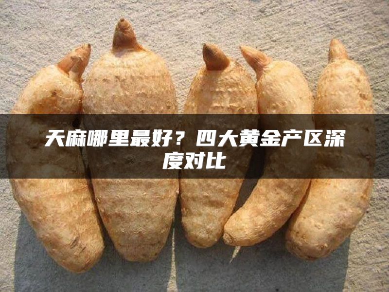 天麻哪里最好?四大黄金产区深度对比