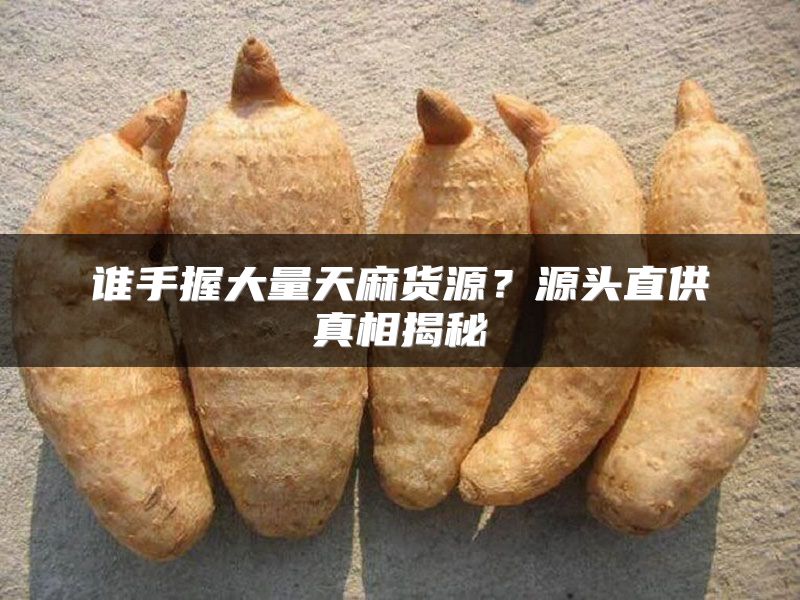 谁手握大量天麻货源？源头直供真相揭秘