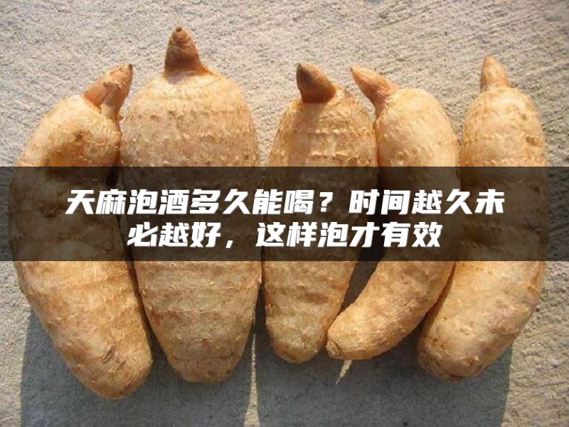 天麻泡酒多久能喝？时间越久未必越好，这样泡才有效