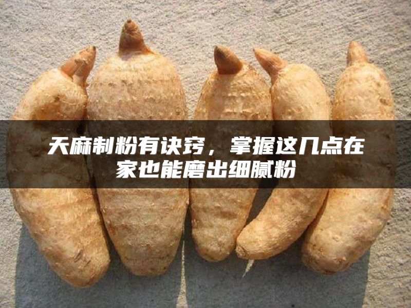 天麻制粉有诀窍,掌握这几点在家也能磨出细腻粉