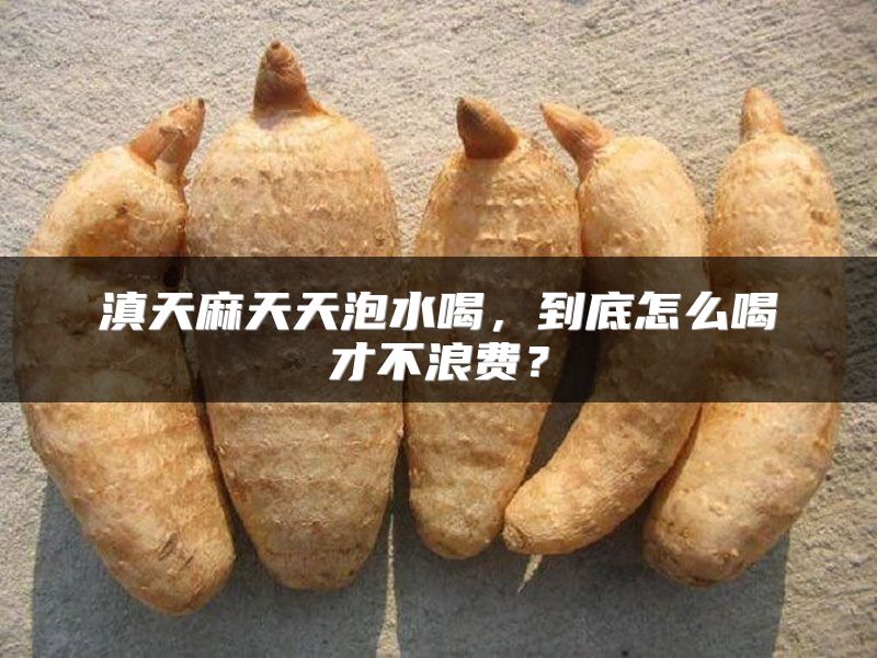 滇天麻天天泡水喝，到底怎么喝才不浪费？