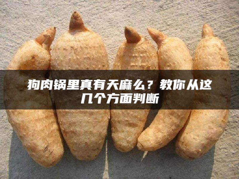 狗肉锅里真有天麻么？教你从这几个方面判断
