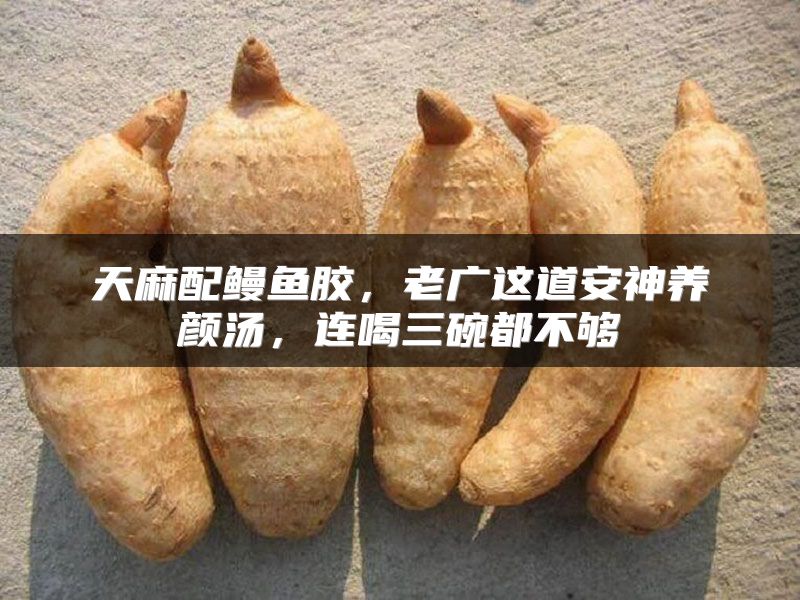 天麻配鳗鱼胶，老广这道安神养颜汤，连喝三碗都不够