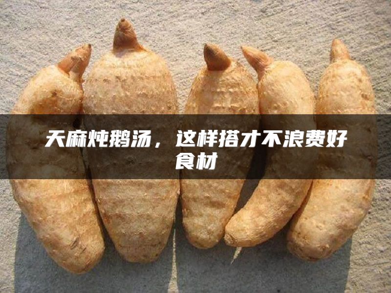 天麻炖鹅汤,这样搭才不浪费好食材