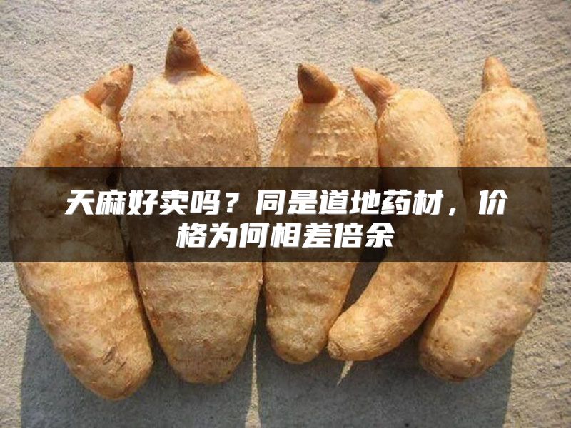 天麻好卖吗？同是道地药材，价格为何相差倍余