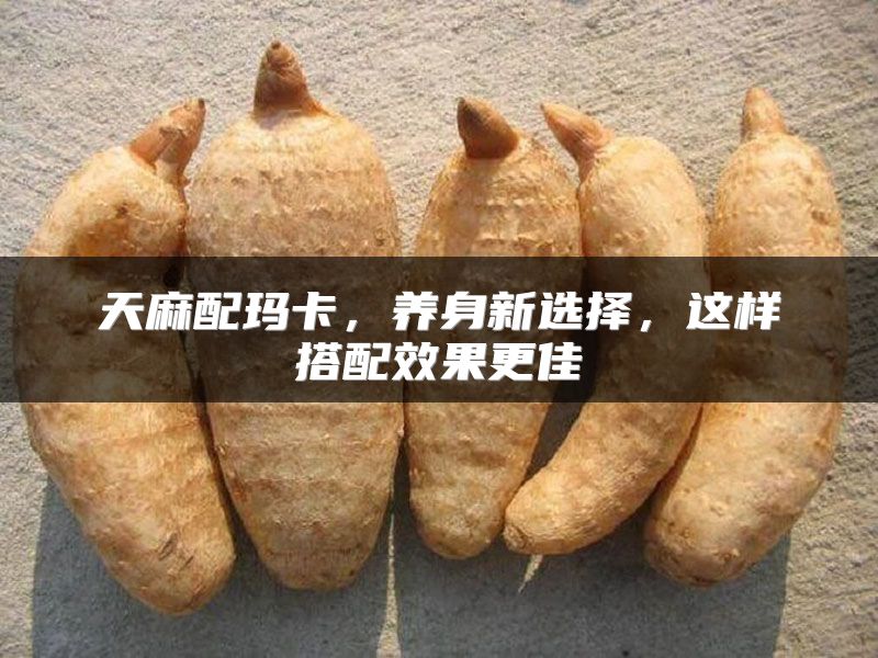 天麻配玛卡，养身新选择，这样搭配效果更佳