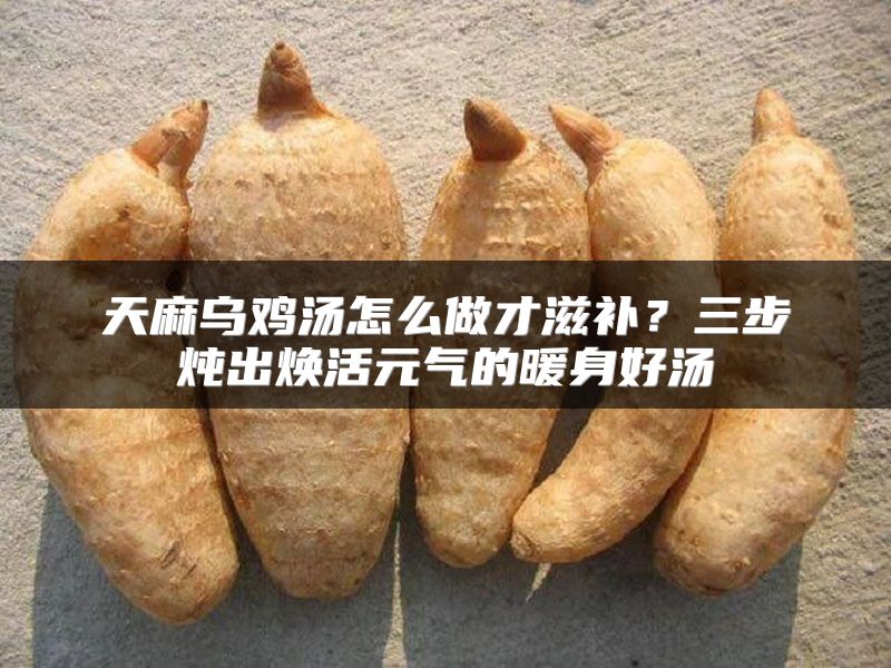 天麻乌鸡汤怎么做才滋补？三步炖出焕活元气的暖身好汤