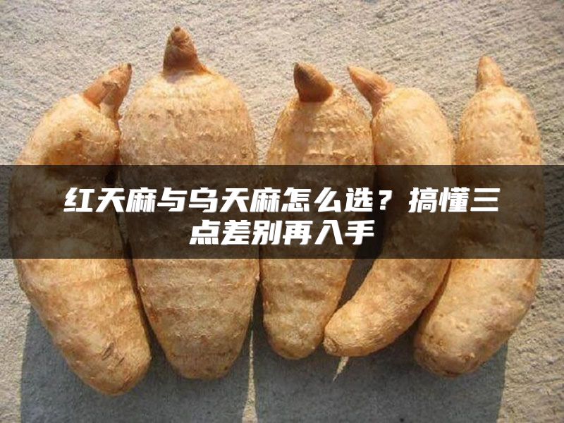 红天麻与乌天麻怎么选?搞懂三点差别再入手