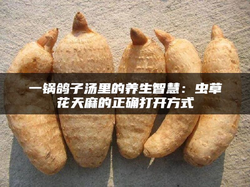 一锅鸽子汤里的养生智慧：虫草花天麻的正确打开方式