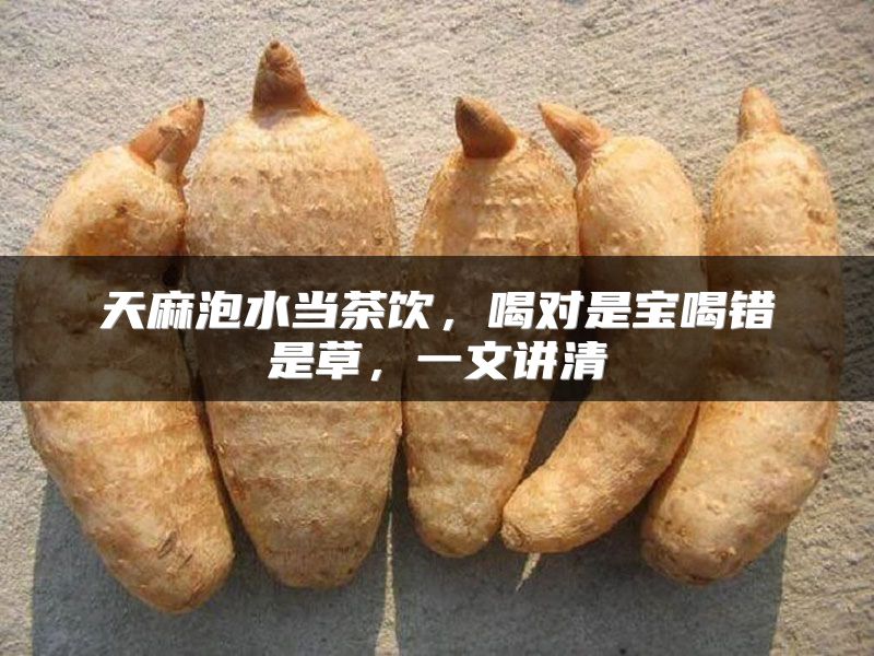 天麻泡水当茶饮，喝对是宝喝错是草，一文讲清