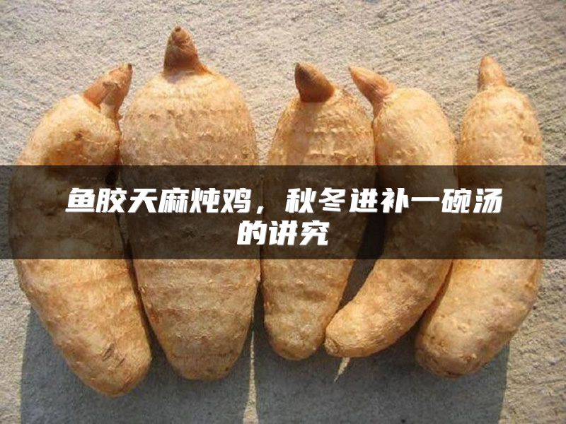 鱼胶天麻炖鸡,秋冬进补一碗汤的讲究